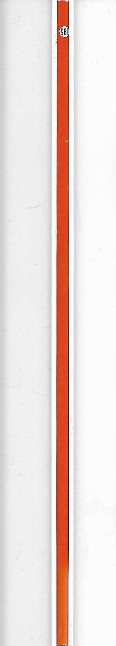 195  De hippe heksen