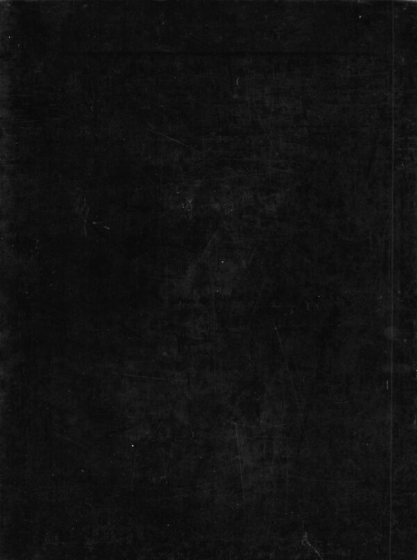 Asterix collectie  de roos en het zwaard   1991